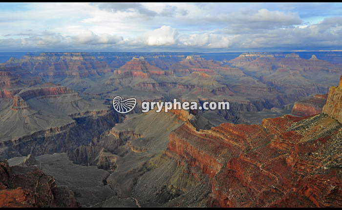 Grand Canyon - gryphea.com